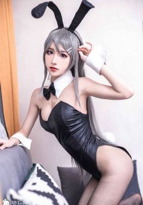 梅花儿香电视剧