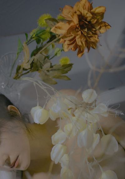 在线观看美女网站免费