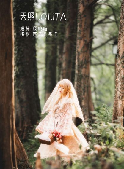 问问星星吧韩剧在线观看全集免费