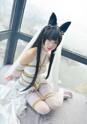 细胞大作战