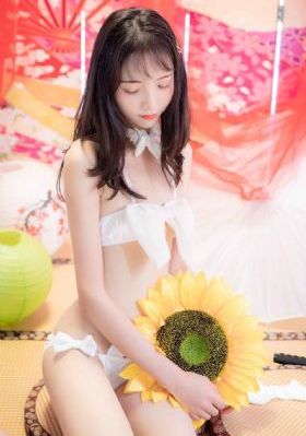 电视剧我是刑警全集免费
